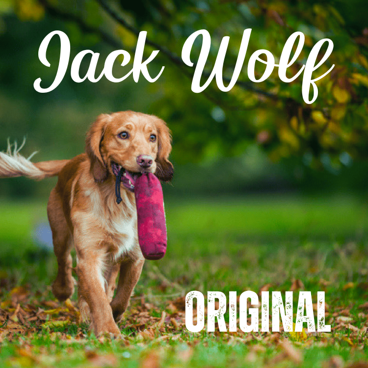 Jack wolf frozen dog food best sale
